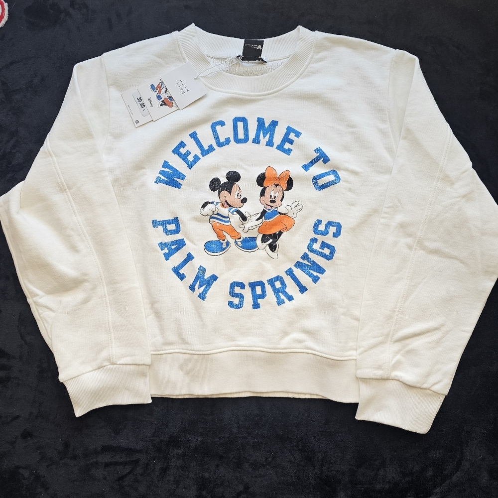 Zara Disney Crop Sweatshirt
